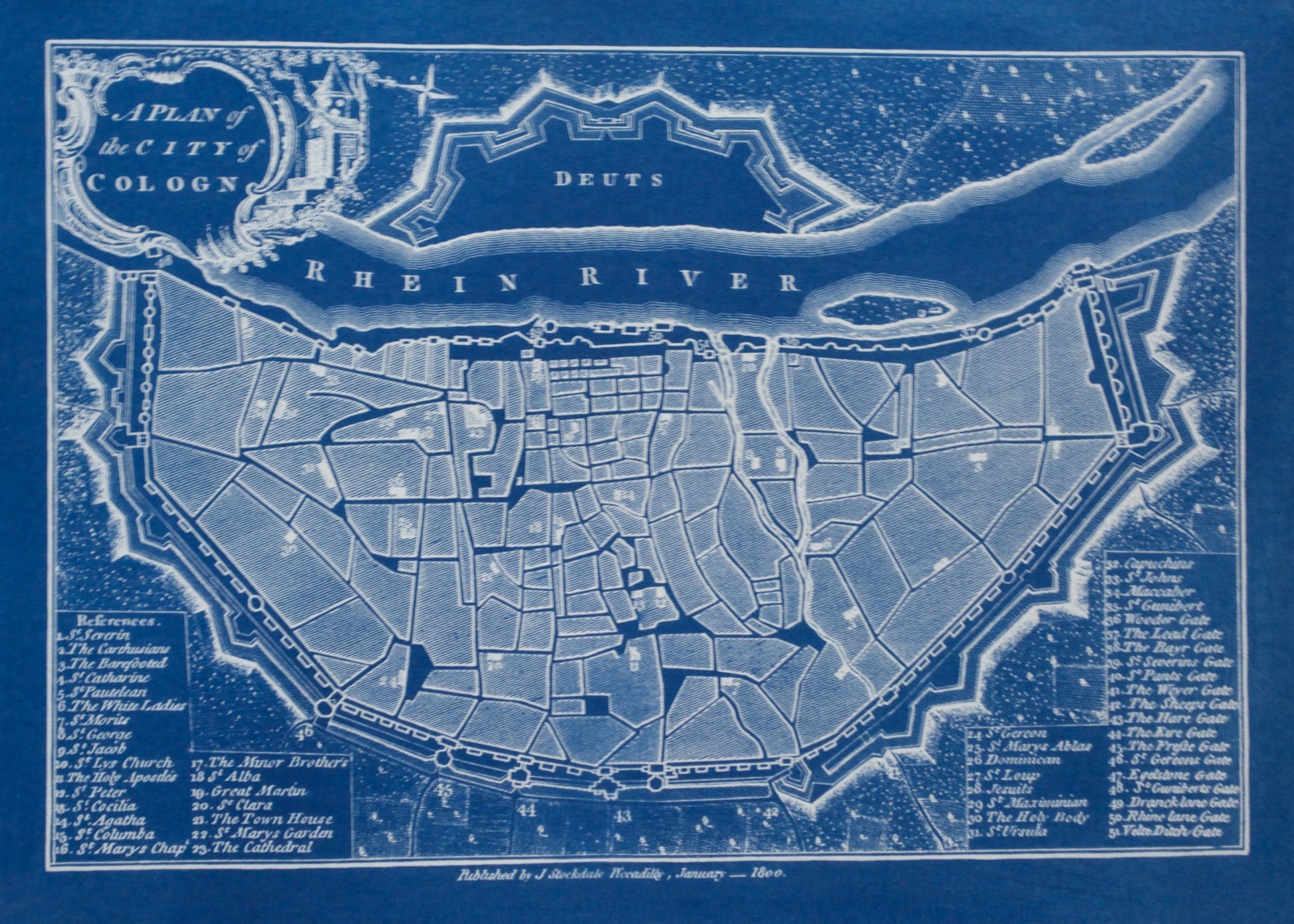 Cyanotype Cologne - ollilypaperware