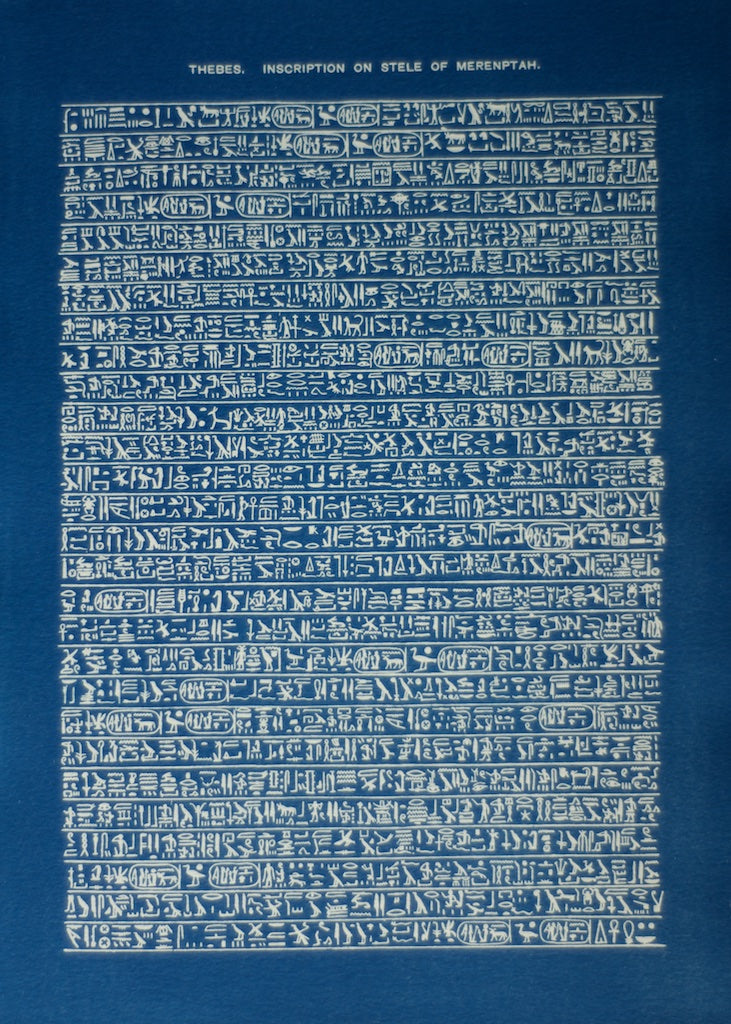 Cyanotype Hieroglyphs - ollilypaperware