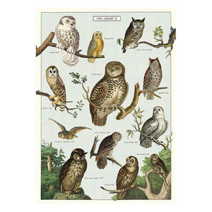 Vintage Poster Owls