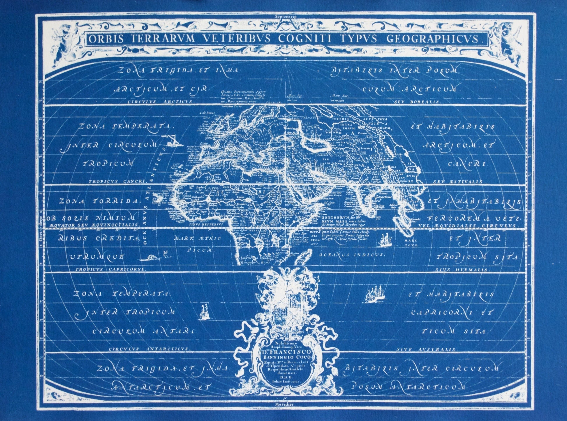 Cyanotype Globe - ollilypaperware