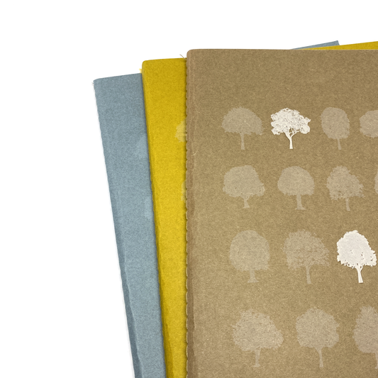 Carnet de recyclage Sinabro
