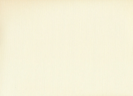 Linen Cardstock Ivory - ollilypaperware