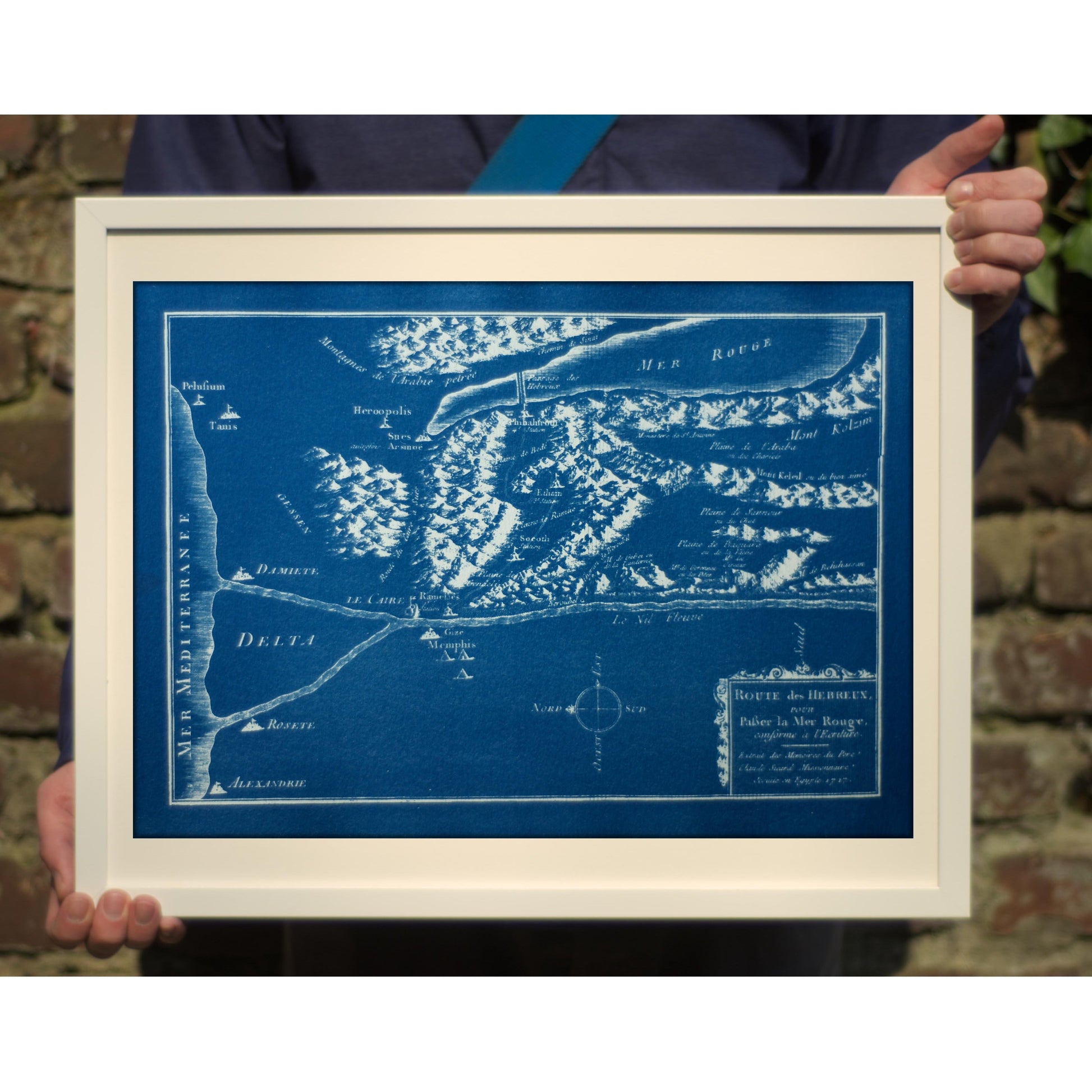 Cyanotype Nile - ollilypaperware