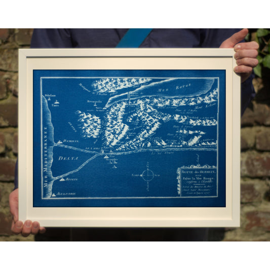 Cyanotype Nile - ollilypaperware