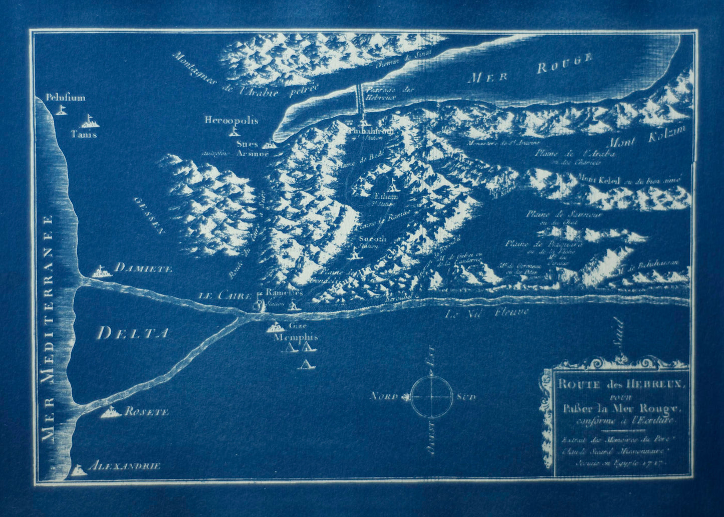 Cyanotype Nile - ollilypaperware
