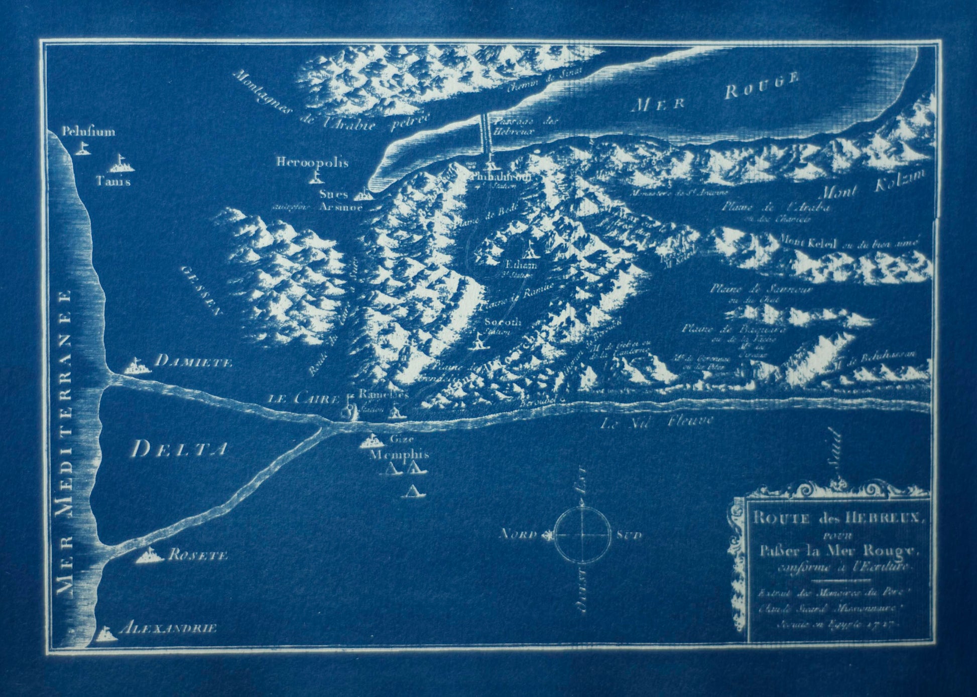 Cyanotype Nile - ollilypaperware