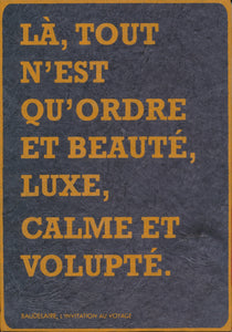 Baudelaire Notebook