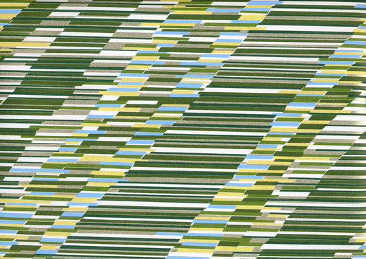 Papier Chiyogami 254