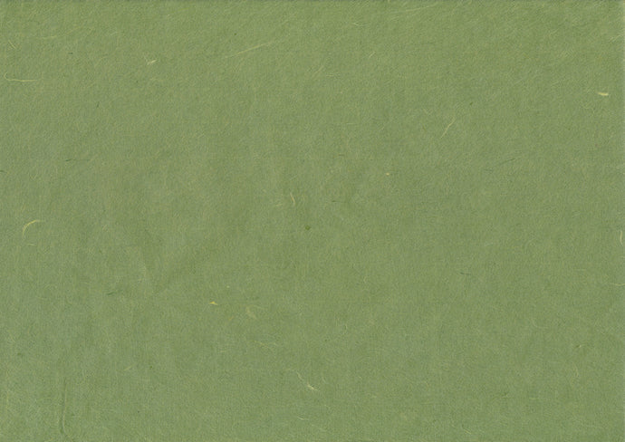 Hanji Paper olive-green - ollilypaperware
