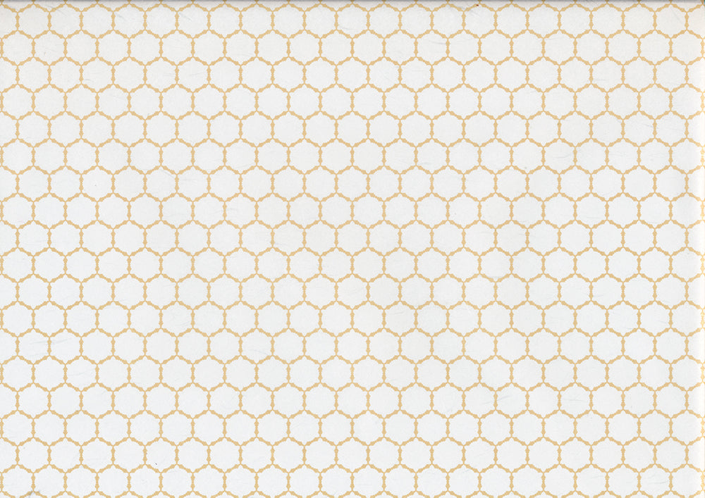 Hanji Paper thin 203 - ollilypaperware