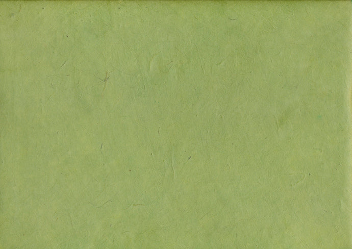 Lokta Paper 147 green (20-25gsm)