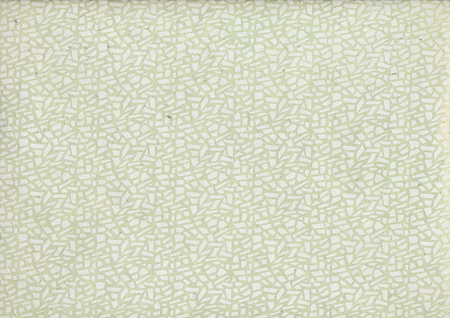Lokta Paper 269